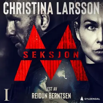 Seksjon M – Del 1