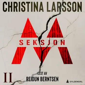 Seksjon M – Del 2