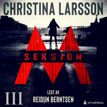 Seksjon M – Del 3