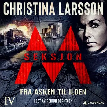 Seksjon M – Del 4